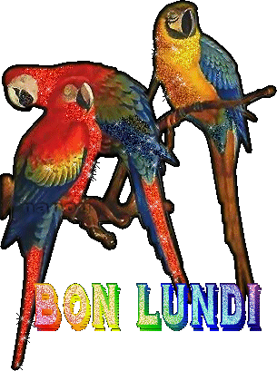 perroquets